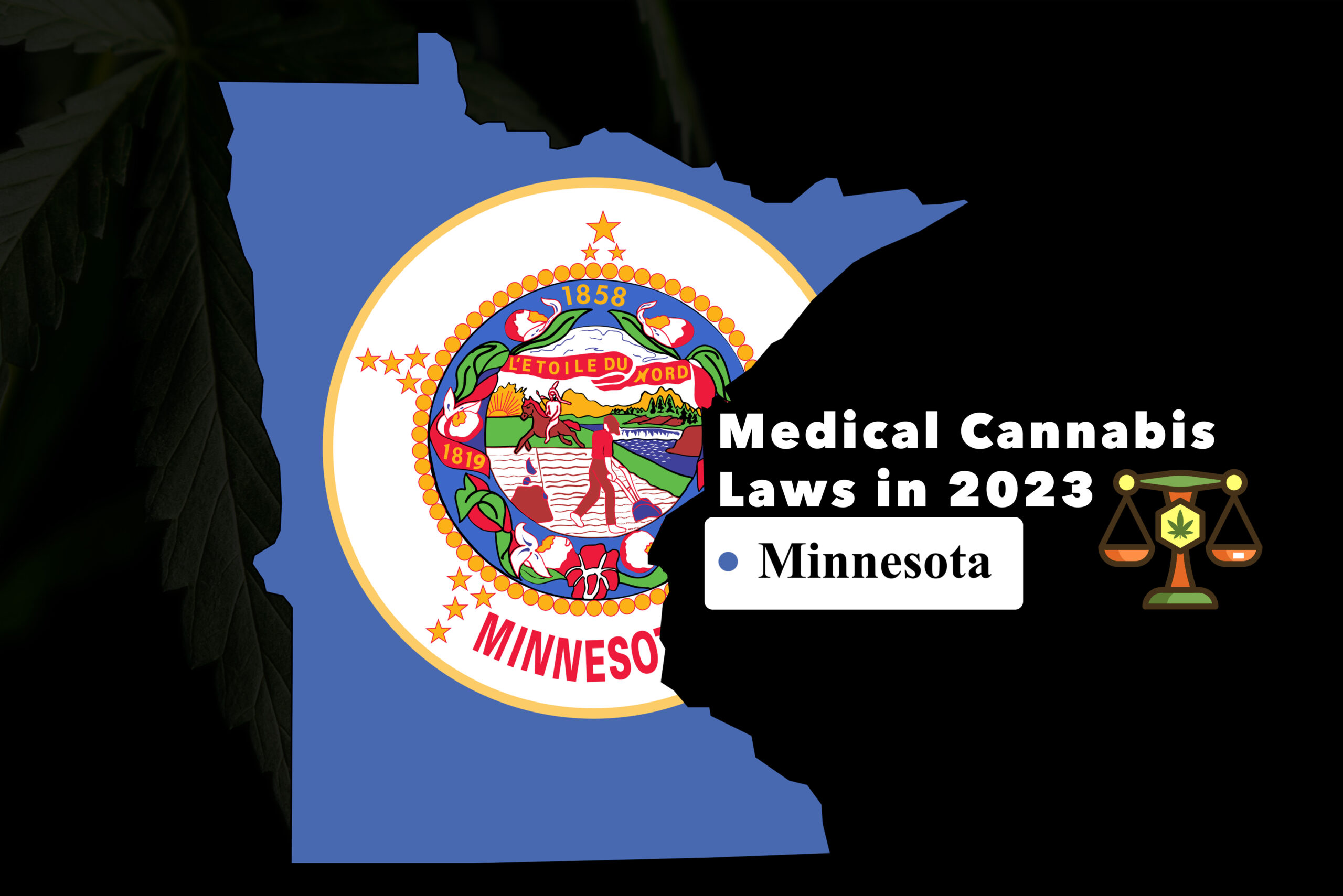 Minnesota Medical Cannabis Laws