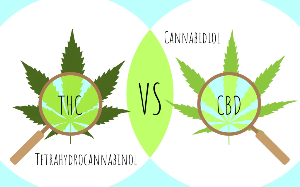 What is the Difference Between CBD vs THC