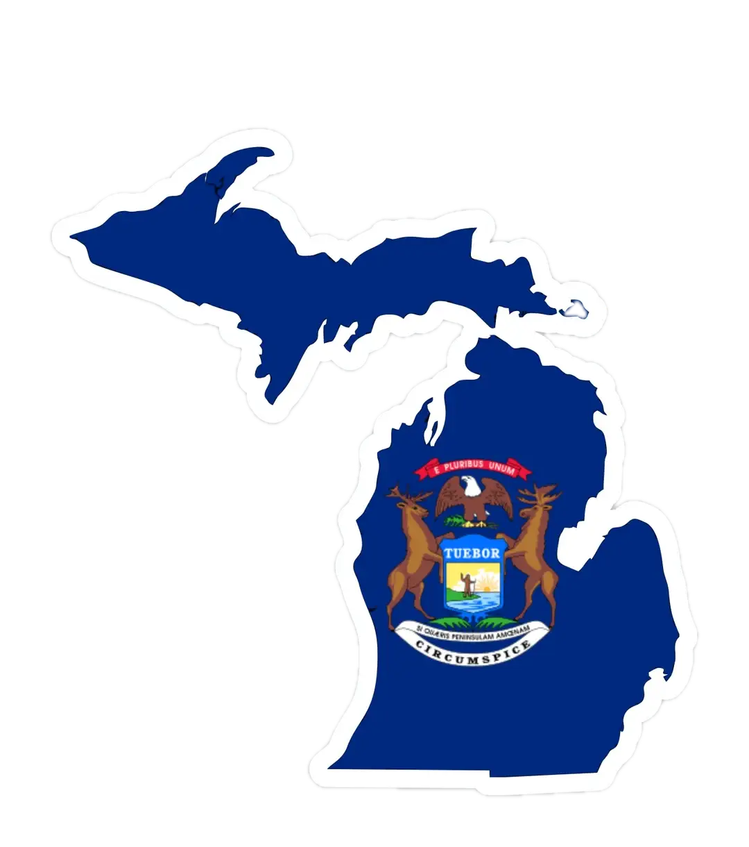 Michigan Map Flag-Online Medi Card